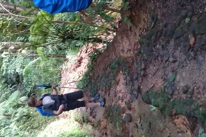 St. Lucia Rainforest Parrot Hike and Waterfall Swim photo 6