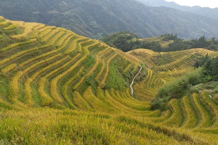 Dragon's Backbone: Longji Rice Terraces Day Tour from Yangshuo photo 5