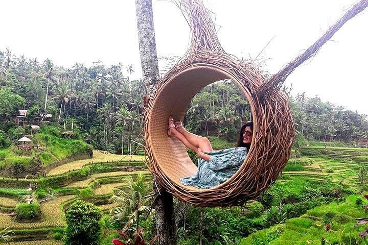 Inside Bali: Tukad Cepung Waterfall, Tegalalang Rice Terraces & Tirta Empul Day Trip photo 2