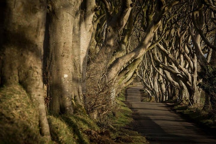 Giant's Causeway & Titanic Experience — One-Day Coastal Tour from Belfast photo 3