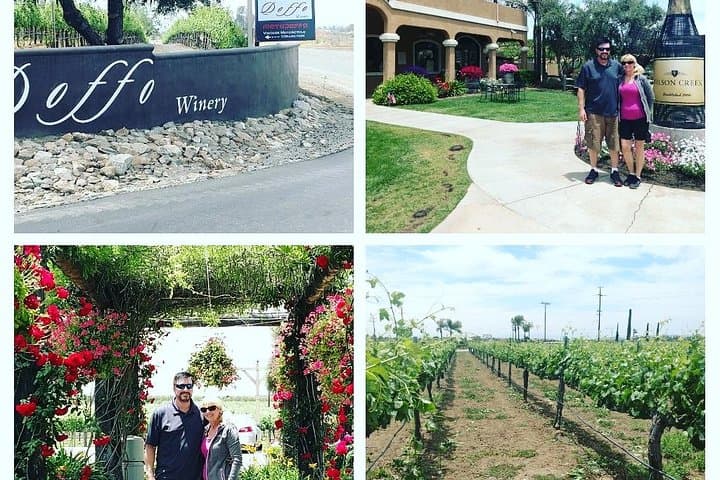 Temecula Valley Wine Tasting Tour from Orange County — Wineries, Lunch & Vineyard Views photo 5