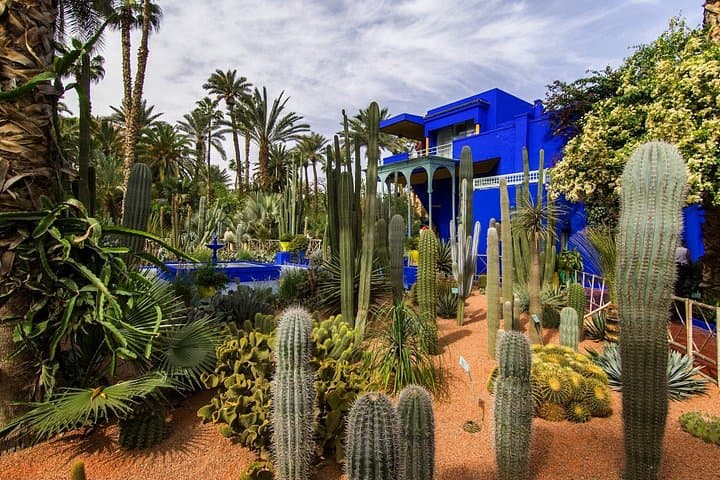 Majorelle Garden, Berber Museum & Palm Oasis Camel Ride — Half-Day Cultural Tour from Marrakech photo 2