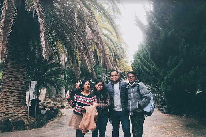 West Jeju Full-Day Taxi Tour: Hallim Park, Osulloc, Yongmeori & Sanbangsan