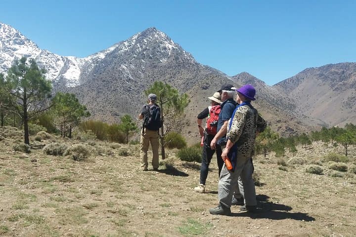 Atlas Mountains Day Trip: Waterfalls, Berber Villages & Imlil Hike from Marrakech photo 4