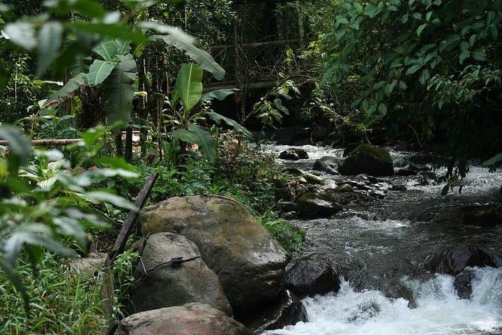 Mindo Cloud Forest Adventure: Waterfalls, Birds & Chocolate Day Tour from Quito photo 6