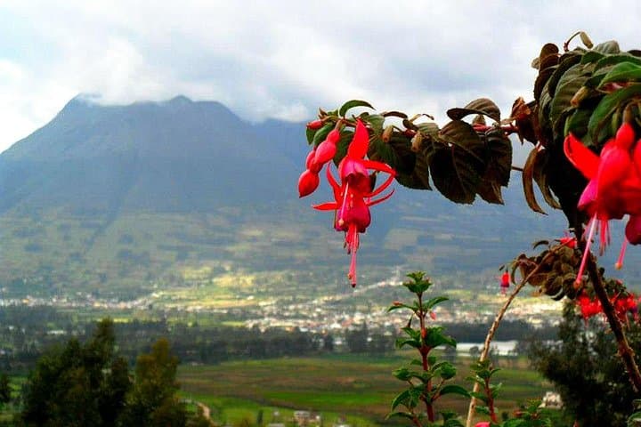 Ecuador Gateway 5-Day Tour: Quito, Mindo, Otavalo & Papallacta photo 3