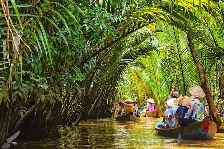 Mekong Delta Discovery: 3-Day Floating Market & Homestay Adventure photo 1