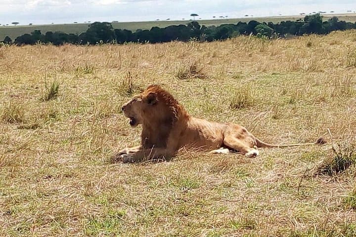 Two-Day Tarangire Safari from Arusha: Elephants, Baobabs & Birdlife photo 6