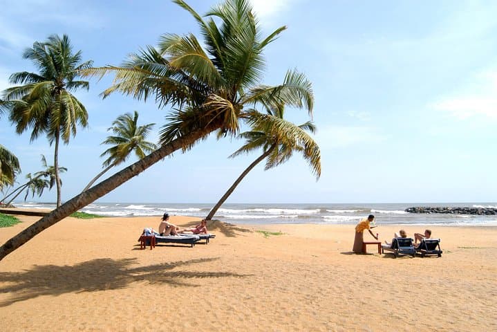 Explore Negombo: A Coastal Adventure From Colombo Port