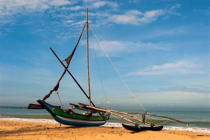 Explore Negombo's Natural Wonders on a Shore Excursion photo 2