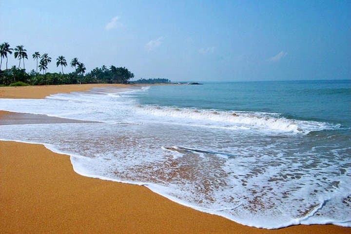 Experience the Coastal Charms: Colombo to Negombo Beach Day Trip photo 2