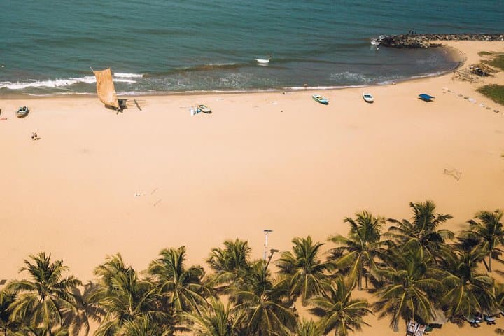 Explore Negombo's Natural Wonders on a Shore Excursion