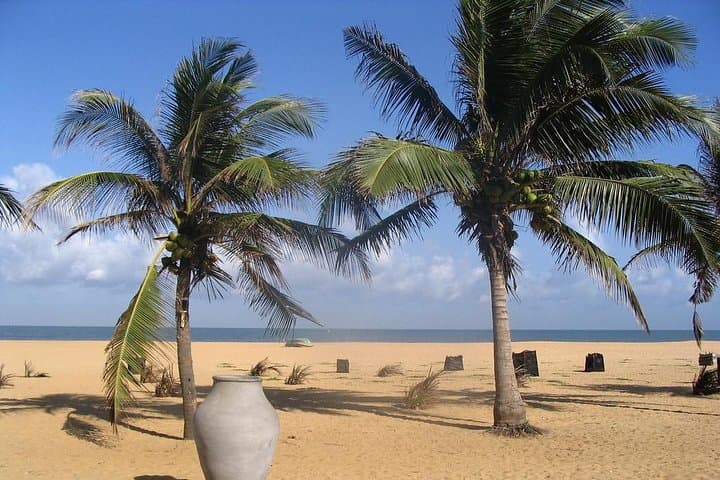 Experience the Coastal Charms: Colombo to Negombo Beach Day Trip