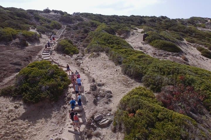 Jeep Safari Akamas Peninsula from Paphos — Full-Day 4x4 Nature Expedition photo 3