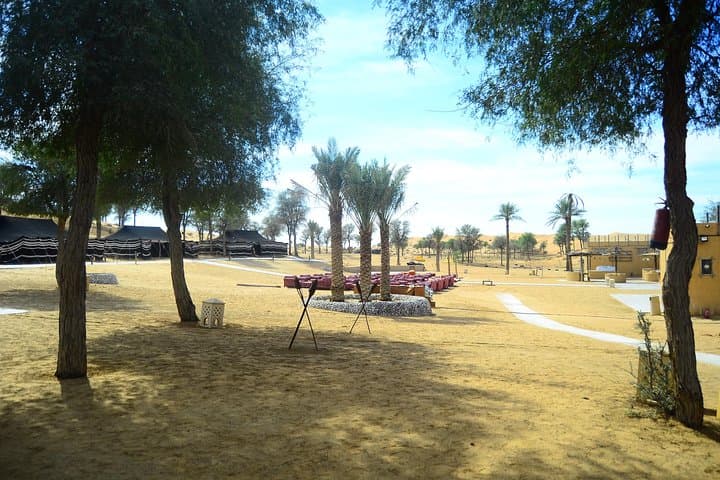 Ras Al Khaimah Desert Safari: Afternoon 4x4 Dune-Bashing & BBQ Dinner photo 6