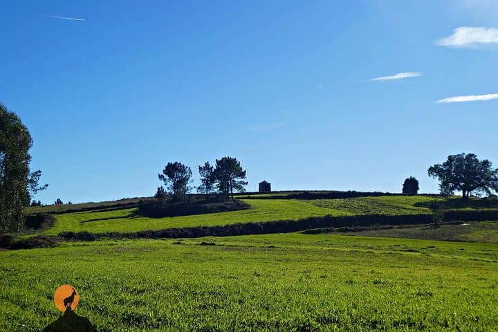 Penacova Windmills & Mondego Landscapes: Half-Day Tour from Coimbra photo 2