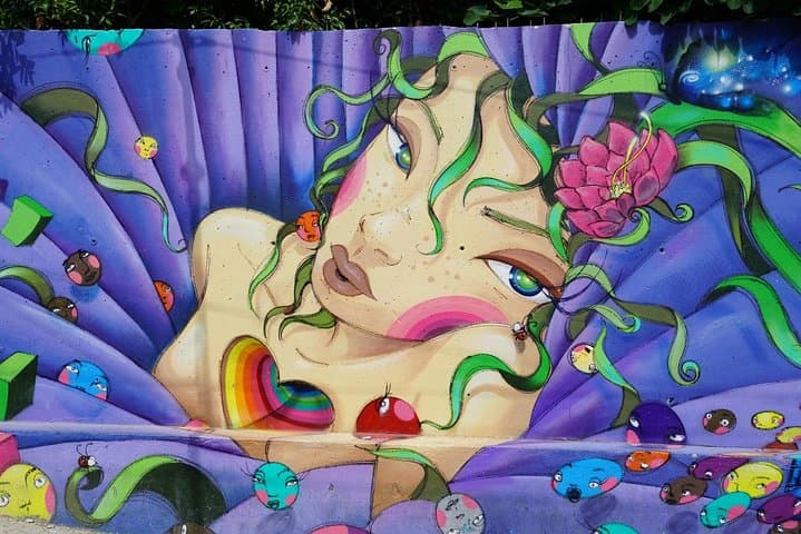Lisbon Street Art Walking Tour: Discover Murals & Urban History photo 3