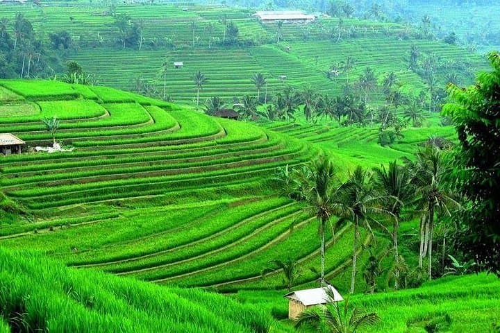 Bali Natural Beauty: Ulun Danu, Handara Gate & Jatiluwih Full-Day Tour photo 1
