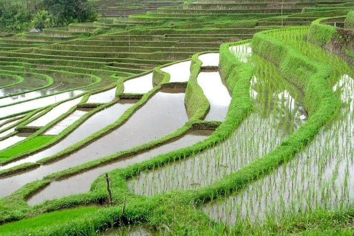 Bali Natural Beauty: Ulun Danu, Handara Gate & Jatiluwih Full-Day Tour photo 2