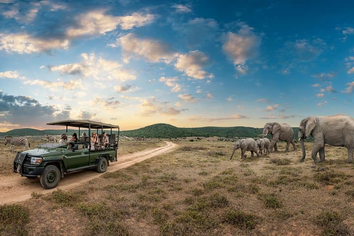 4-Day Kruger National Park Big 5 Safari & Panorama Route — God’s Window to the Sabie River photo 2