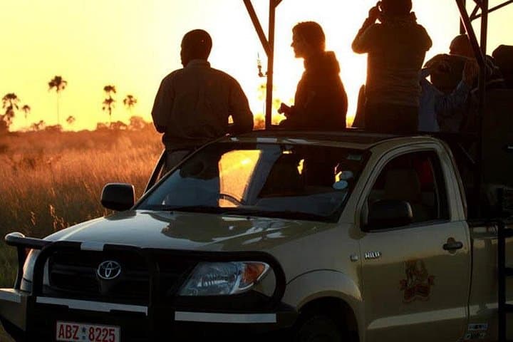 Chobe Day Safari from Victoria Falls: Boat Cruise and Open Jeep Game Drive photo 3