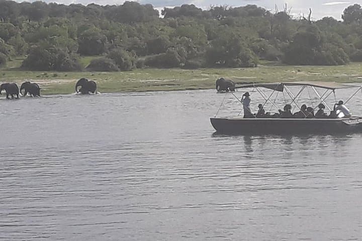 Chobe Day Safari from Victoria Falls: Boat Cruise and Open Jeep Game Drive photo 4