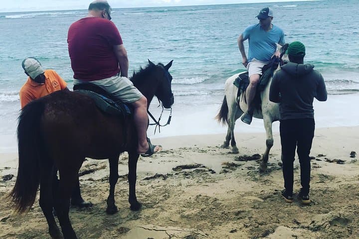 Sunset Beach Horseback Riding in Punta Cana — Ride to the Maimon River photo 4