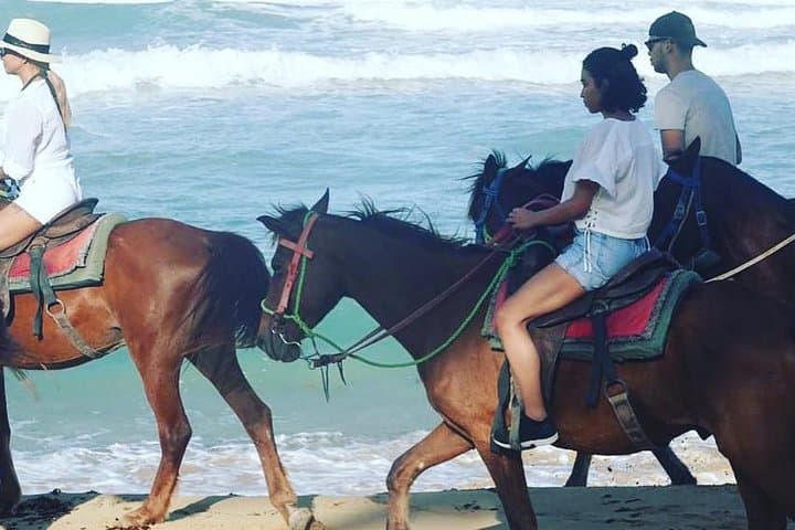 Sunset Beach Horseback Riding in Punta Cana — Ride to the Maimon River photo 6