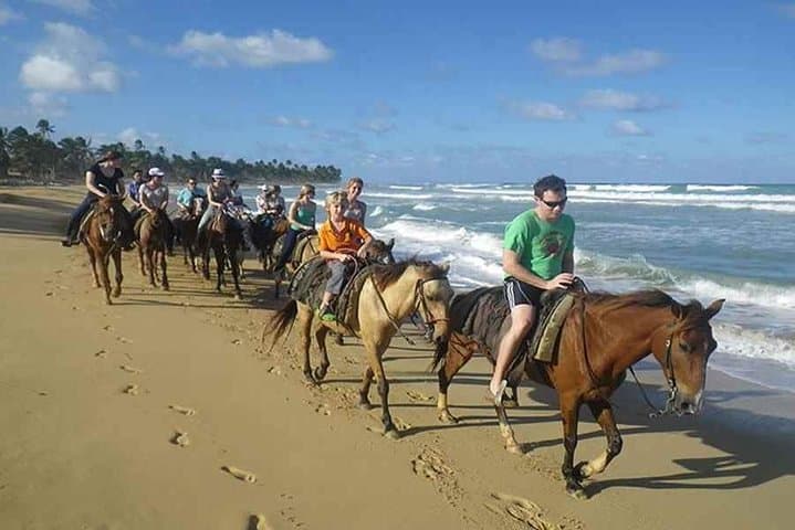 Punta Cana Beach Horseback Riding — Gallop Along Maimon River and Palm-Fringed Shore photo 1