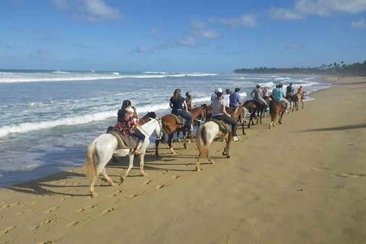 Punta Cana Beach Horseback Riding — Gallop Along Maimon River and Palm-Fringed Shore photo 3
