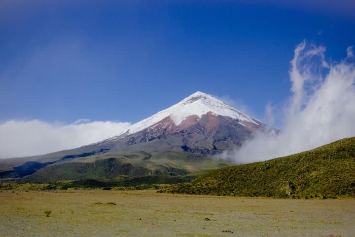 7-Day Best of Ecuador: Andes to Cloud Forest Immersion