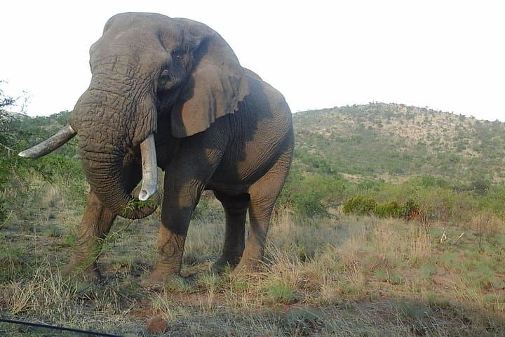 Johannesburg to Kruger: 5-Day History and Safari Package photo 1