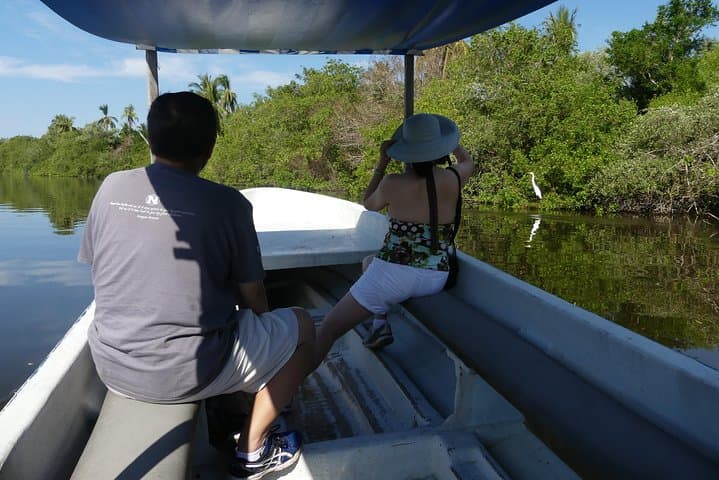 Coyuca Lagoon Boat Ride & Baby Turtle Release — 6‑Hour Acapulco Tour photo 2