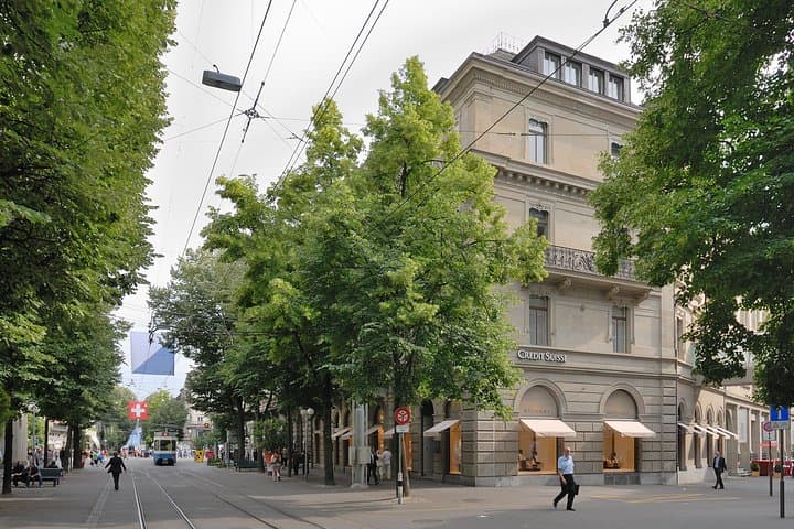 Private Zurich Walking Tour: Old Town, Lake Zurich & Waid Panoramas photo 3