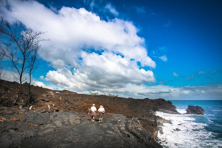 Bus Tour in Wainaku, Hawaii