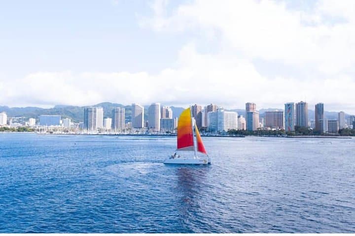 Morning Turtle Canyon Snorkel and Dolphin Sail from Waikiki photo 3