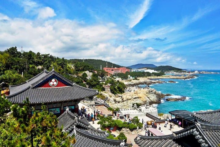 Busan Cruise Layover: Small-Group Highlights Day Tour photo 5