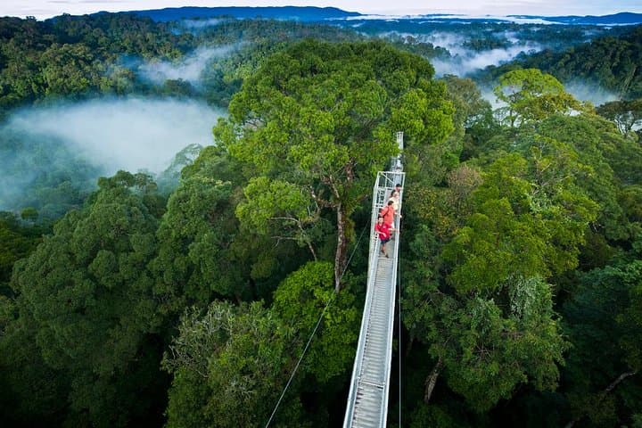 Private Monteverde Cloud Forest Tour: Hanging Bridges, Zipline & Wildlife photo 3