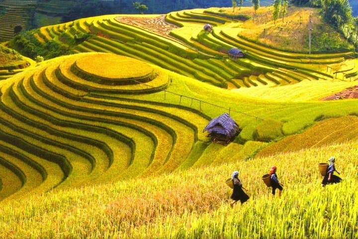 Sapa 3-Night Trek & Ta Van Homestay: Muong Hoa Valley Cultural Trek from Hanoi photo 2