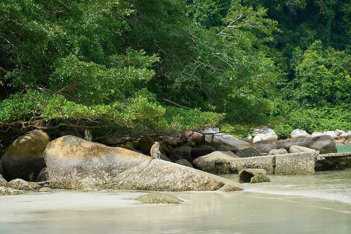Gua Tempurung Caving and Kampar River Rafting in Gopeng: Full-Day Adventure photo 5