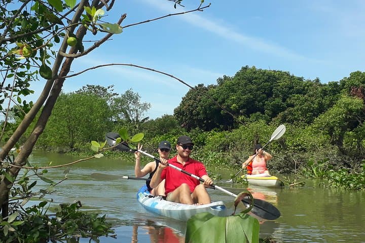 Authentic Mekong Kayak and Boat Day Trip from Ho Chi Minh photo 3
