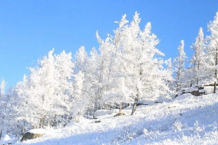 Ice Festival Mongolia — Khuvsgul Lake Winter Adventure & Ice Marathon photo 6