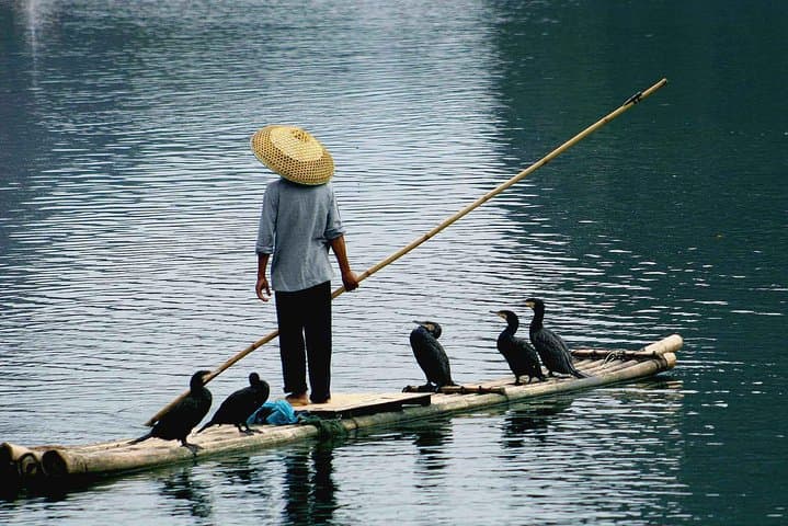 Li River Cruise and Yangshuo Village Day Trip: Private One-Day Tour from Guilin photo 5