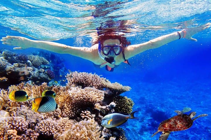 Dive Into the Splendor: Bali's Menjangan Island Snorkeling Adventure
