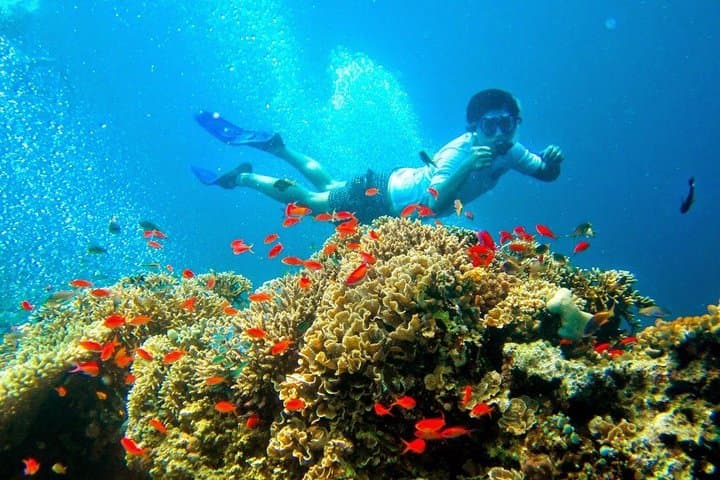 Dive Into the Splendor: Bali's Menjangan Island Snorkeling Adventure photo 3