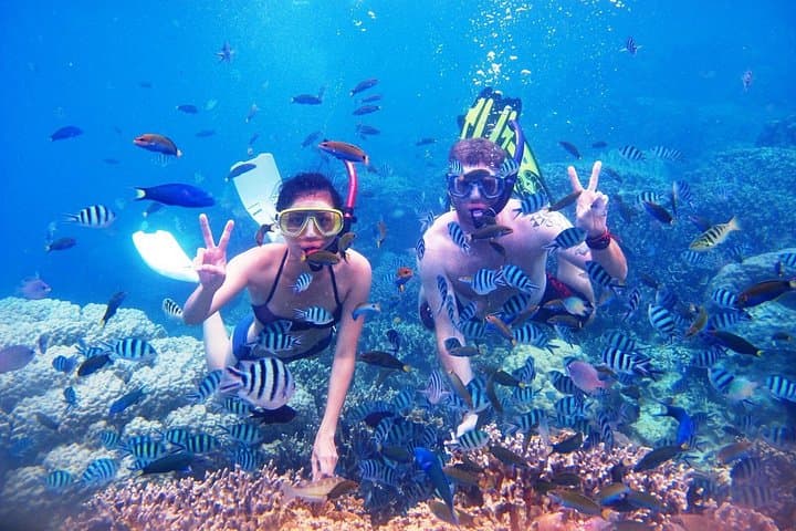 Dive Into the Splendor: Bali's Menjangan Island Snorkeling Adventure photo 4