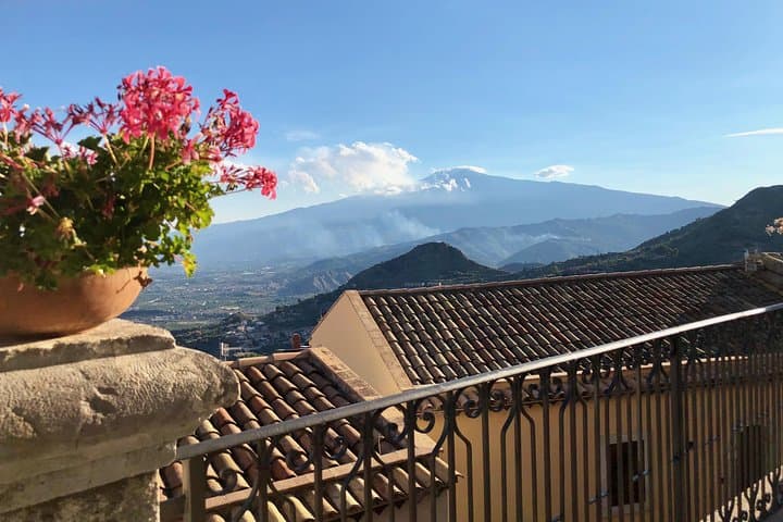 Mount Etna Big Day Out: Cable Car, 4WD Summit & Winery Lunch