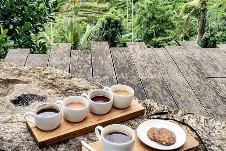 Best of Bali Volcano Tour: Full-Day Kintamani, Ubud & Tegalalang Experience photo 4