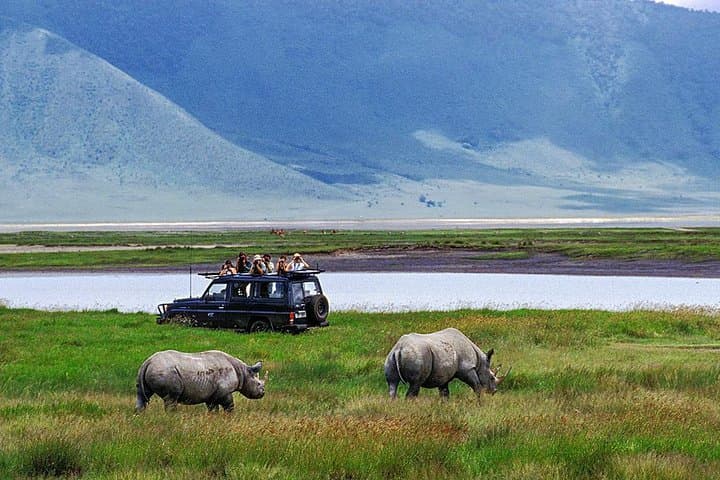 Ngorongoro Crater One-Day Shared Safari — Big Five Game Drive from Arusha
