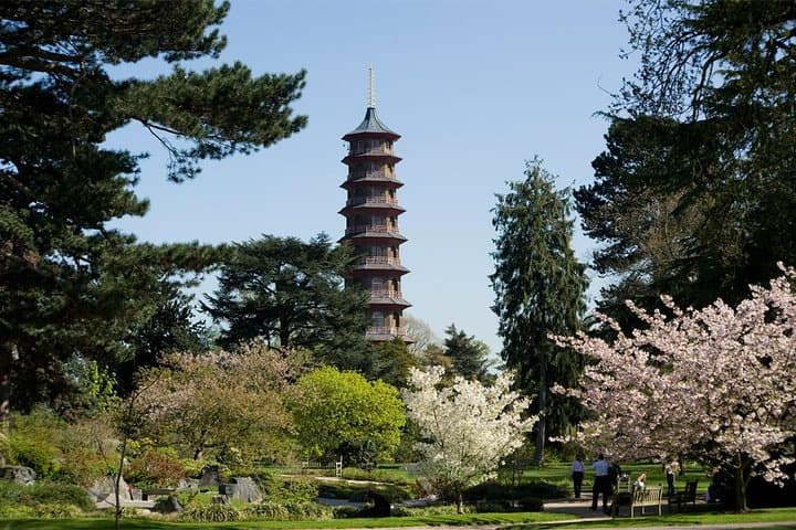kew-gardens-london-royal-botanic-gardens-entrance-ticket photo 3